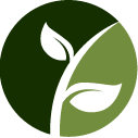 Vines Removal Pros