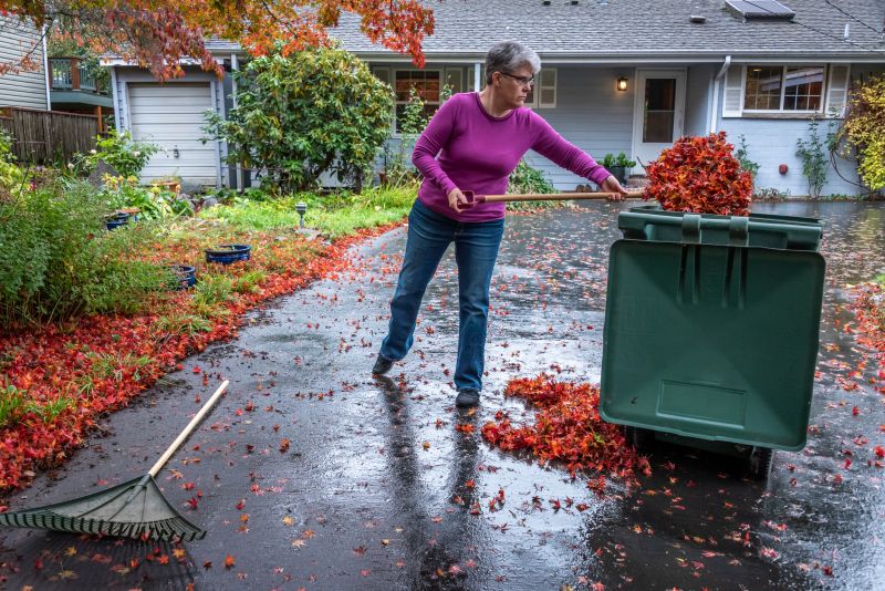 Leaves Being Disposed of Properly