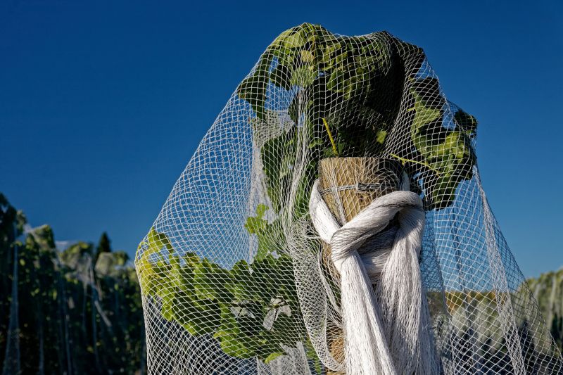 Warranty & Quality Checks